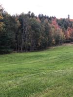 00 Darling Hill
