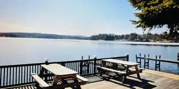 850 Laconia