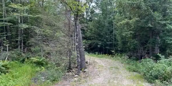 585 Grafton Turnpike