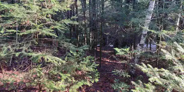 000 Swiftwater