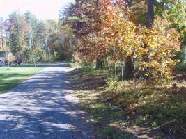 Lot 4 Woodard