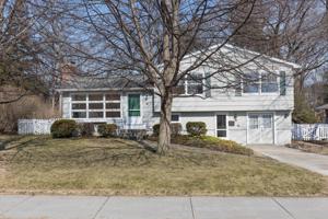 40 Wildwood