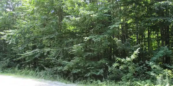Map 107 Lot 14 Tigola