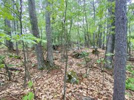 Lot 48-2 Owls Head Point