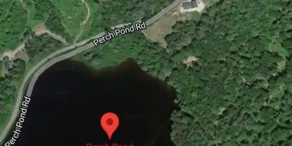 442 Perch Pond