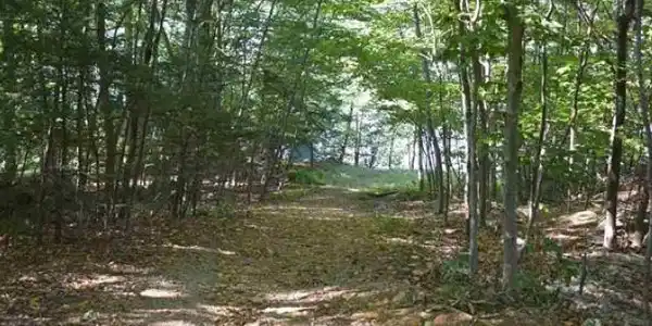 Map 33, Lot 72 Bunnell