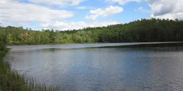 0 Perch Pond