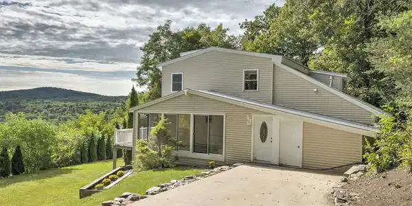 31 White Birch