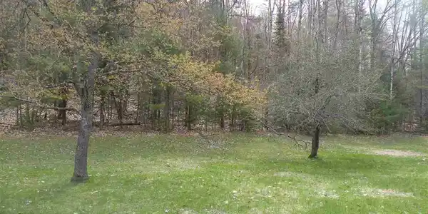 Mountain Meadows