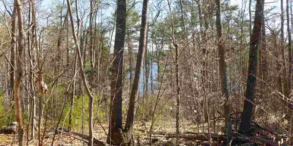 Lot 12 Pond