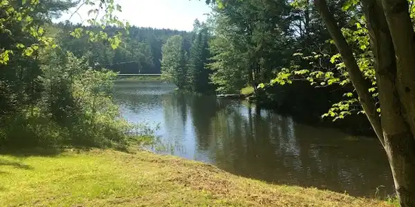 Lot 4 Sunapee