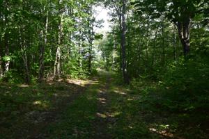 115 Sawyer Lake