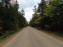 Lot 343A Rogers