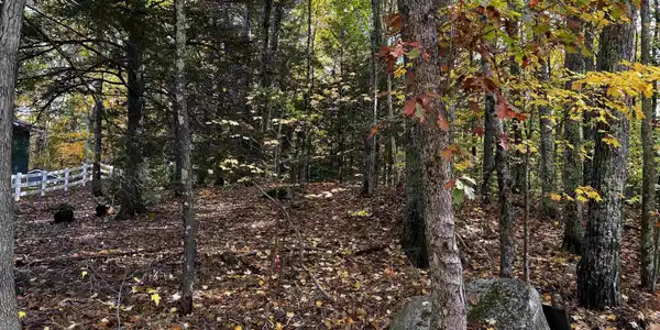 Lot 79 Cove