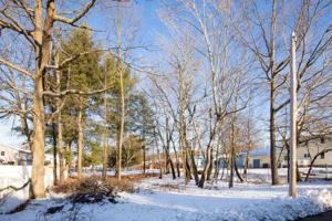 61 Grey Meadow