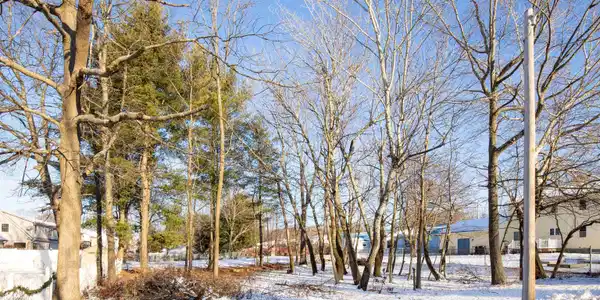 61 Grey Meadow