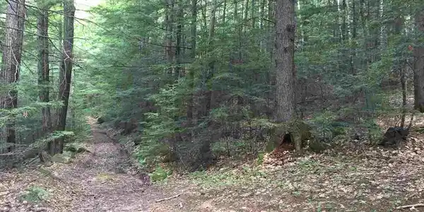 Off Rabbit Hollow