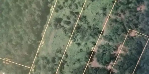 00 Perch Pond