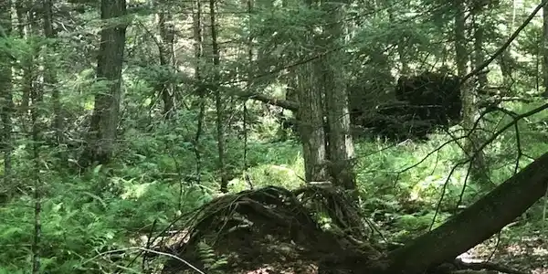 Lot Kearsarge