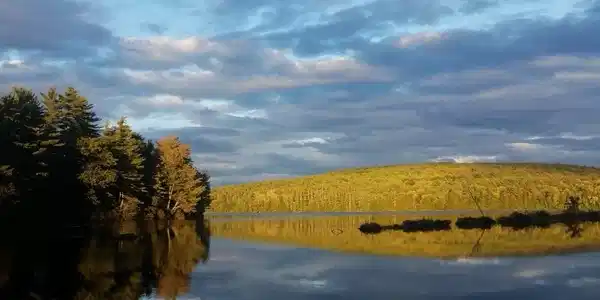 216 NE Pond