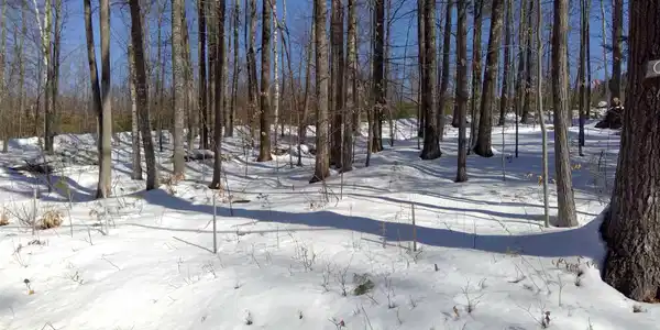 lot 9 Route 109