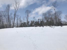 Lot 1 Georgia Mountain