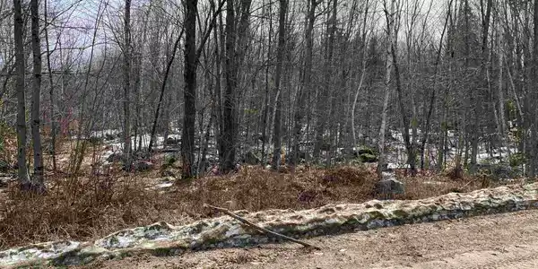 L 182 Beaver Brook