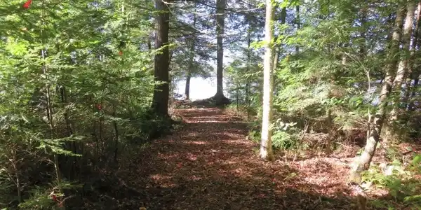 Corno