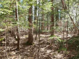 Map 42 Lot 328 Bristol