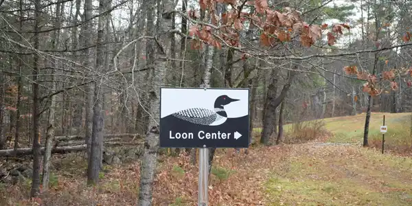00 Blake