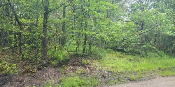 00 Long Pond