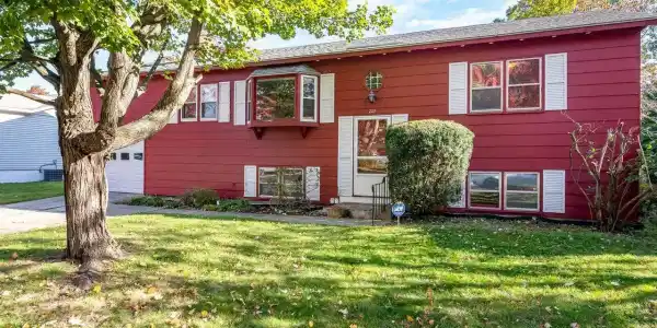 229 Curtis