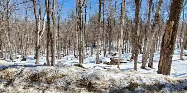 00 Fox Hill