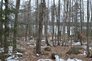 31 Robin Acres
