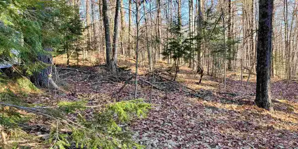 00 Kennedy Brook D