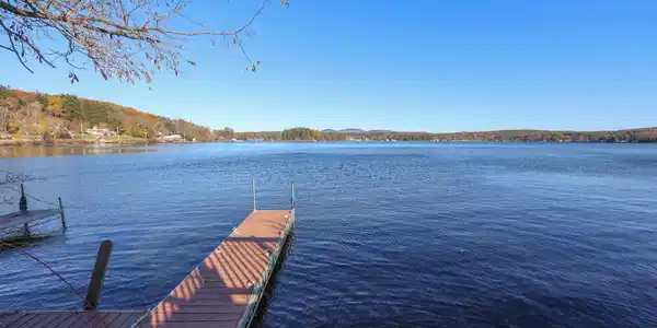 788 Laconia