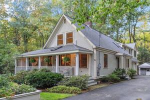 15 Blueberry