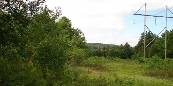 297 Route 10