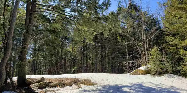 463 Highland Haven