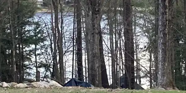 4 Hemlock
