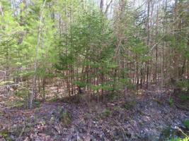 Lot 446 North Shore