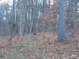 0 Pequawket- Lot 114.1
