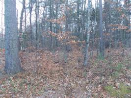 00 Pequawket Lot 114.2