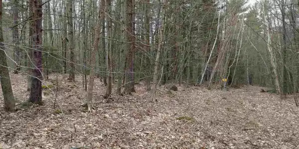 0 Shed Hill