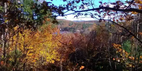 off Hemlock