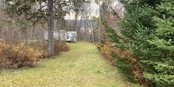 52 Burns