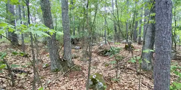 Lot 48-1 Owls Head Point