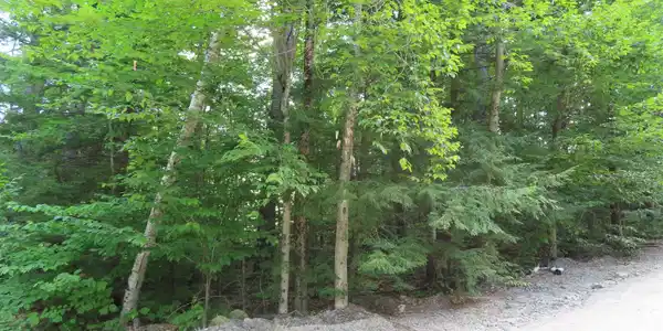 Lot 160 Bly Avenue