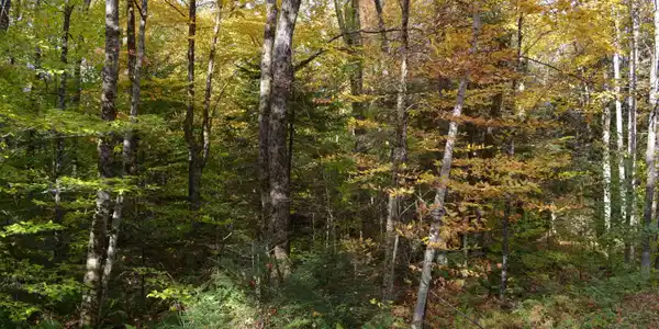 00 Butternut Pond