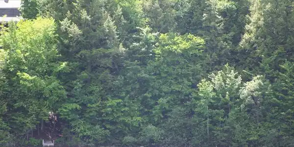 Lot 230 Lakeside